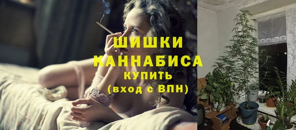ПСИЛОЦИБИНОВЫЕ ГРИБЫ Балабаново